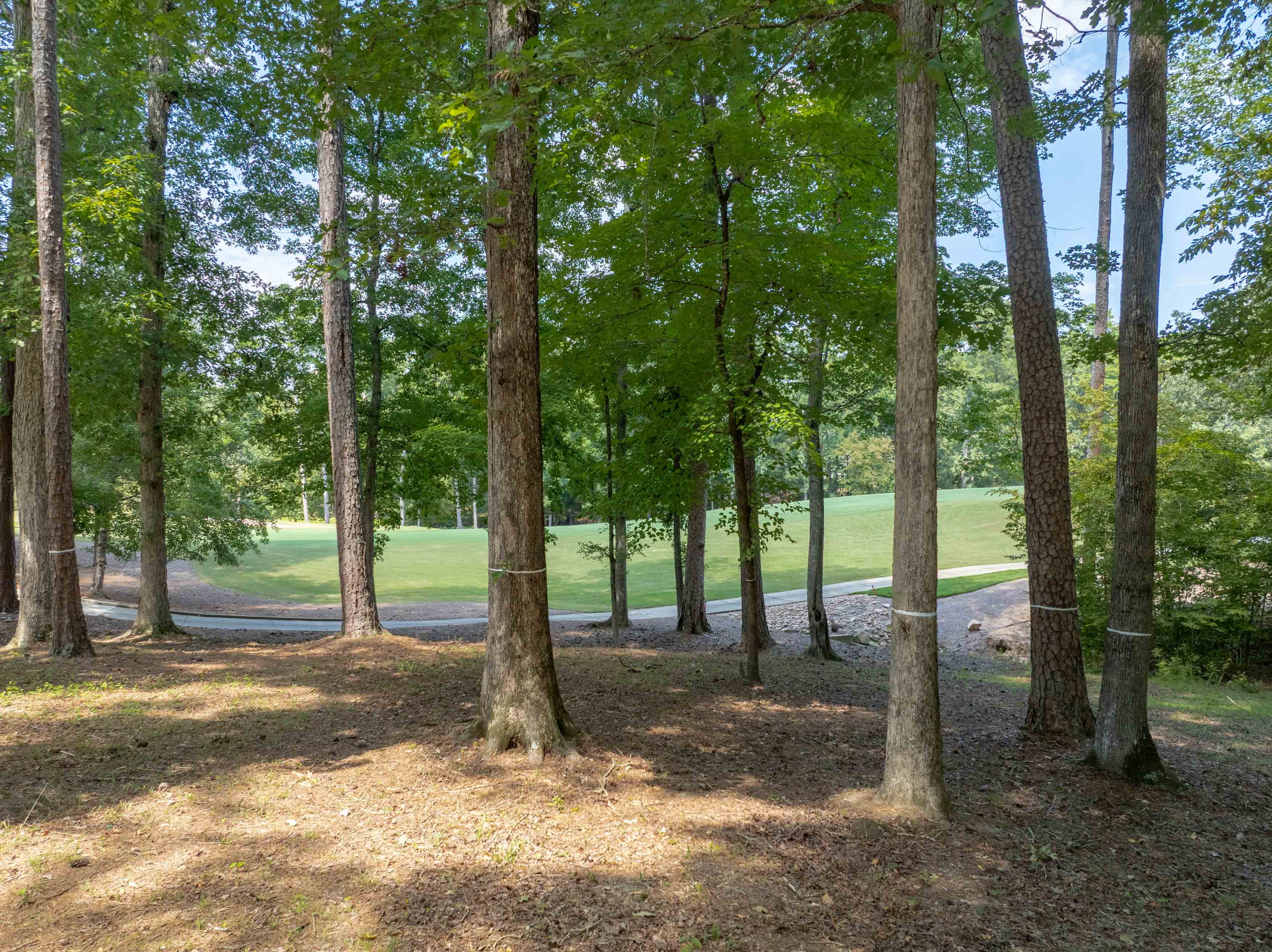 1021 Branson Bluff image 7